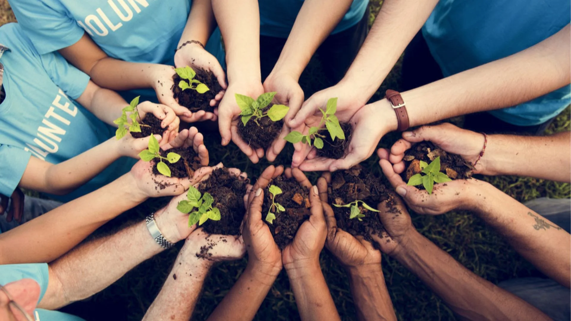 Mission of Climatica Foundation